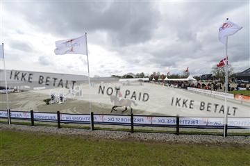 139644_abo_08__AB16345.JPG