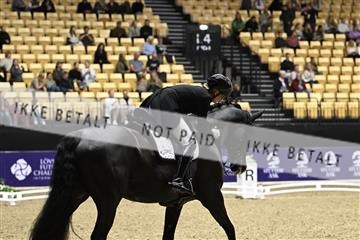 182194_kbb_03_Z090448.JPG