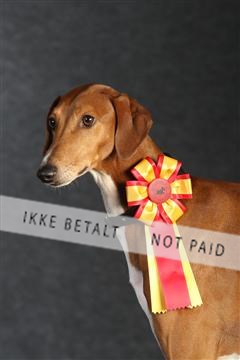 132082_le_ 01_IMG_0075.JPG