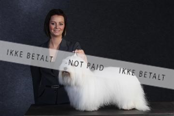 132082_le_ 01_IMG_0384.JPG