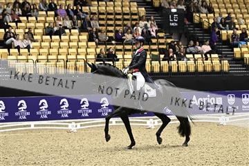 182194_kbb_03_Z090146.JPG