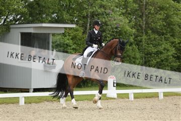 139835_sg_01_IMG_8240.JPG