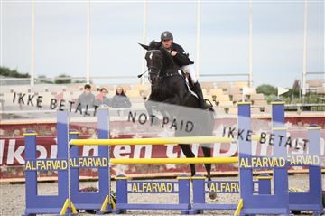 152762_nn _05_IMG_7497.JPG