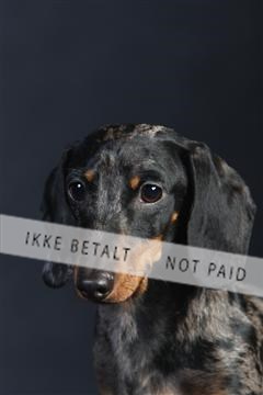 132082_le_ 01_IMG_0177.JPG