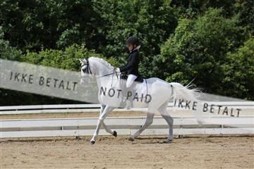 156196_nn_01_IMG_6085.JPG