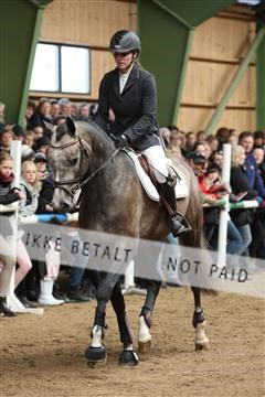 139265_kl_1_8M1Q6156.JPG
