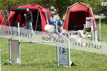 134871_ms_02_IMG_3182.JPG