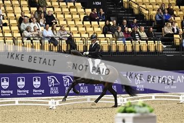 182194_kbb_03_Z090598.JPG