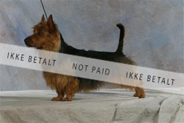 5493_sme _04__MG_9883.JPG