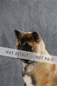 128239_le_ 06_0051.JPG