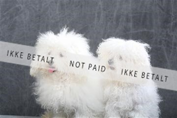 130054_le_ 01_0174.JPG