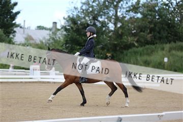 156196_nn_01_IMG_5803.JPG