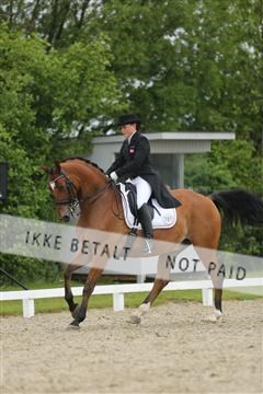 139835_sg_03_IMG_9123.JPG