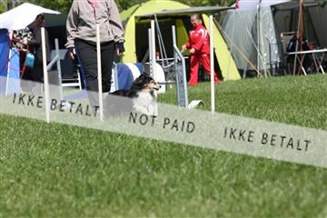 134871_ms_02_IMG_2884.JPG