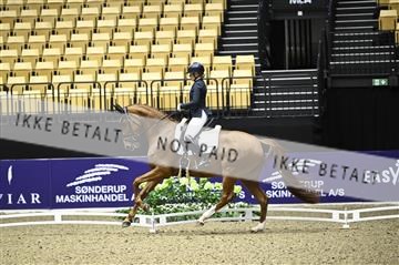 182194_kbb_02_Z097646.JPG