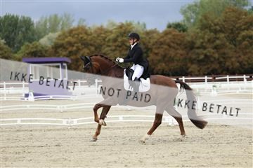 181923_mtp_03_R62_7341.JPG