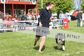 134871_ms_04_IMG_0316.JPG
