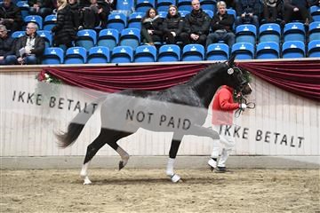 164516_kuo_01_D05_2750.JPG