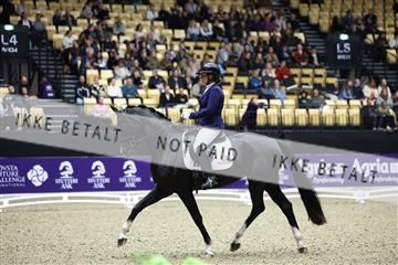 182194_mlm_02_R62_0862.JPG