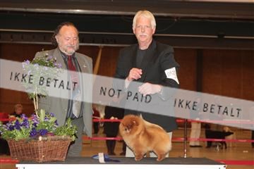 124188 _tl_02_IMG_9324.JPG