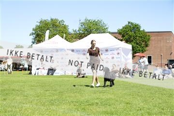 181564_kar_01__62_8439.JPG