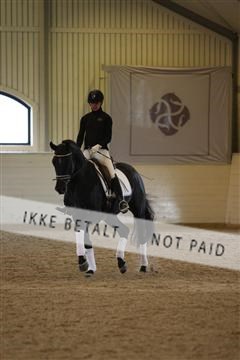 139266_kl_1_8M1Q7436.JPG