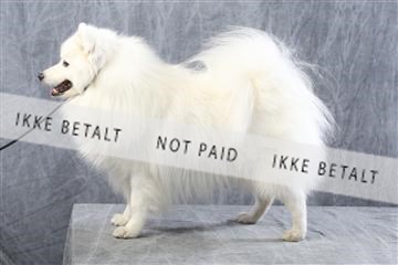 129608_le_ 01_0814.JPG