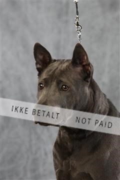 128239_le_ 06_0069.JPG