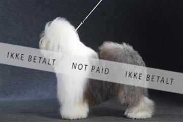 132082_le_ 01_IMG_1442.JPG