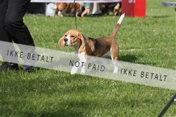 134871_ms_04_IMG_1896.JPG