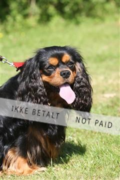130370_se_03_IMG_7223.JPG