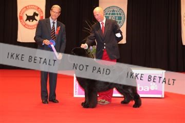 126827_tl_04_IMG_9955.JPG