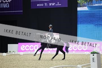 182194_mlm_02_R62_0654.JPG