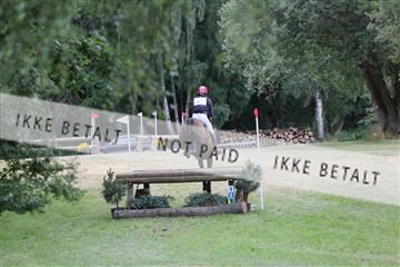 169215_mlm_01_IMG_6292.JPG