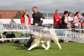 130370_tl_01_IMG_7505.JPG