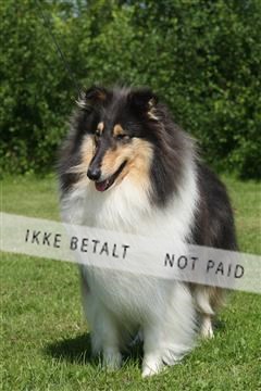 130370_se_02_IMG_5858.JPG
