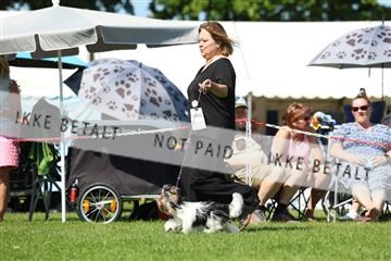 181564_rin_02_R62_3577.JPG