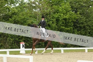 139835_sg_01_IMG_7210.JPG