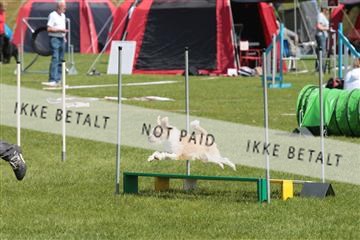 130370_tl_02_IMG_7833.JPG