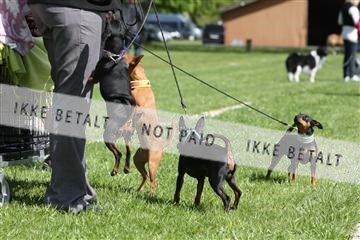 134871_ms_02_IMG_3214.JPG