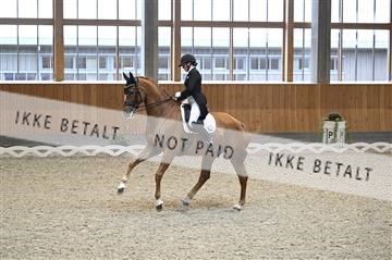 182176_kbb_01_Z094566.JPG