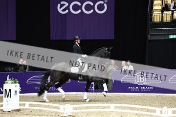 182194_avh_05_2963.JPG