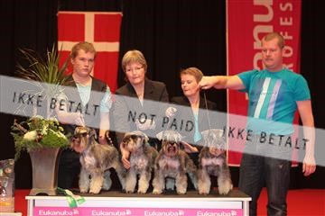 126827_tl_04_IMG_9833.JPG