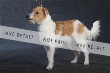 132082_le_ 01_IMG_0942.JPG