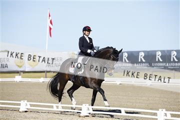181449_kbb_01_6II9581.JPG