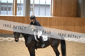 182176_kbb_01_Z094236.JPG