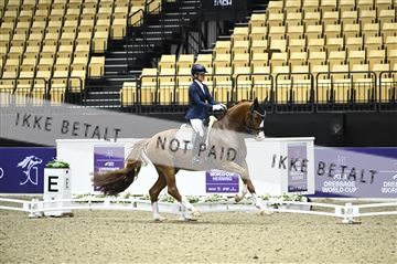 182194_kbb_02_Z097759.JPG