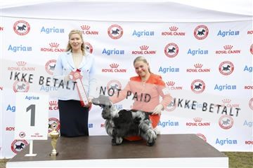 181848_kar_01__62_3501.JPG