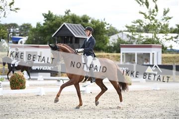 166078_kuo_02_D05_8053.JPG