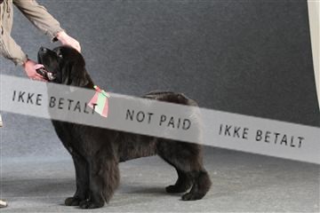 132082_le_ 01_IMG_1449.JPG